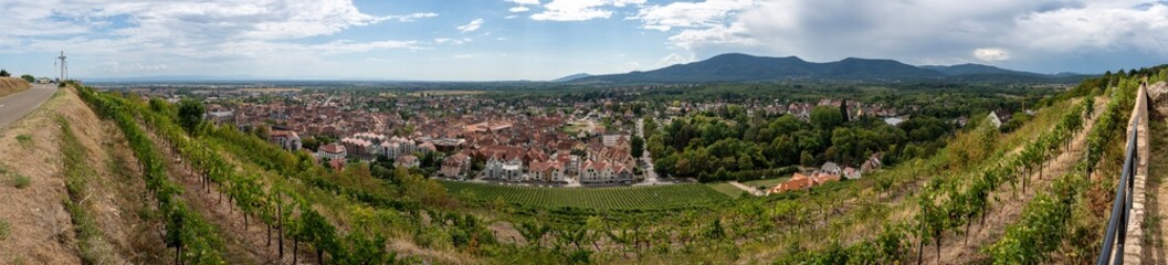 Fototapeta na wymiar Obernai, France - 09 03 2022: Panoramic view of terraced vines fields and the village behind