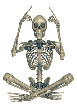 skeleton is explaining in a white background