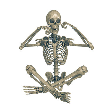 skeleton on sitting pose in a white background