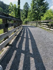 bridge in the woods