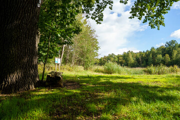 Unterwegs in der Oberlausitzer Heide- und Teichlandschaft