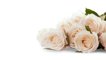 Fresh aroma pastel roses flower bouquet
