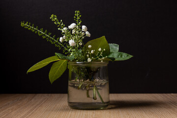 bouquet of snowdrops in a vase