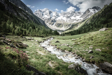 Fototapeta na wymiar Berglandschaft mit Gebirgsbach und Gletscher - farbreduziert