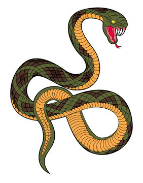 coiled green snake