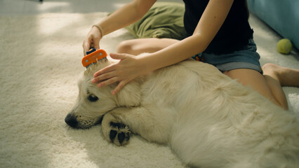 Girl creating hairstyle for dog, combing wool, wetting curls, sitting on mild carpet, spending...