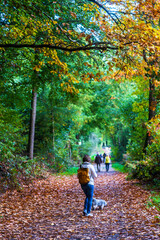 Fototapeta premium Menschen beim Spaziergang im Herbst
