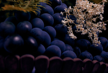 Obraz premium Black grapes of the Moldova variety in a wooden basket and Highlander flowers