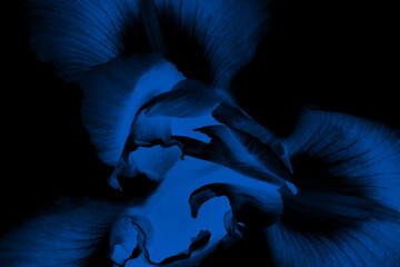 blue abstraction black background