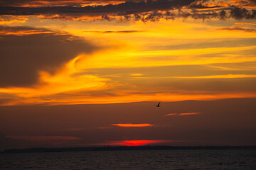 Amazing Black sea. Clouds and lonely bird landscape background. Drama  yellow sky and  sun. Golden blue hour at the ocean romantic evening. Tropical island summer paradise. Wild rest in camp.