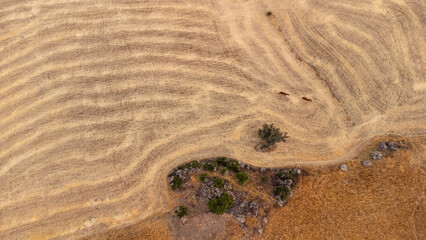 aerial views of cereals