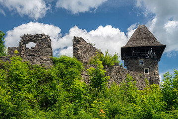 Old ruins of Nevitsky castle medieval on Zakarpattia, Ukraine