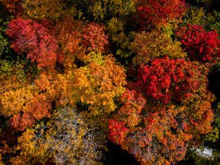 Aerial Fall Colours