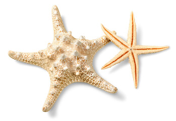 Starfish on Beach Sand. Close up