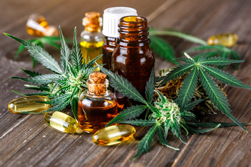 Green leaves of medicinal cannabis with extract oil.Medical marijuana flower buds. Hemp buds - medical marijuana concept.
