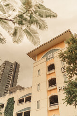 Fototapeta na wymiar building with palm trees midtown miami 