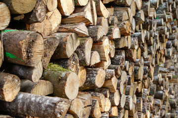 A stack of wood, energy policy on the wrong track. Alarming renaissance of an outdated form of...