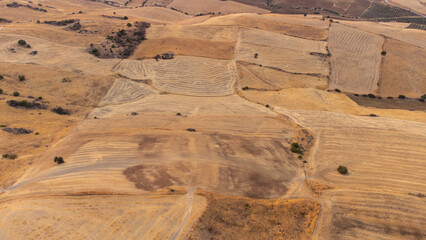 aerial views of cereals