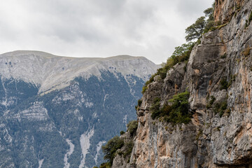 magnificent view of Pyrenees mountains with rock outcrops and forest covered slopes