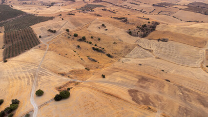 aerial views of cereals