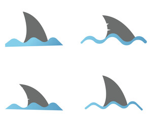 shark fin collection