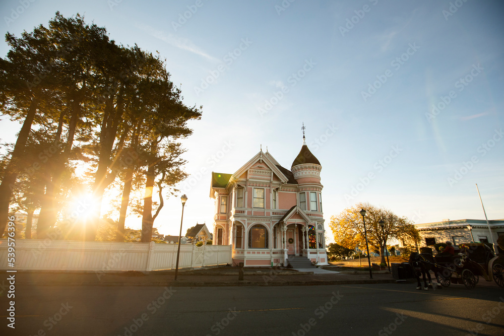 Wall mural Sunset view of a row of historic Victorian homes in downtown Eureka, California, USA.