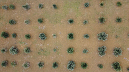 aerial views of cereals