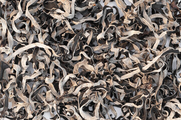 Crimped MUN mushrooms with characteristic color grey and black. The crunchy texture of Chinese dried mushrooms