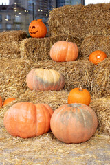 Stylish fall decor of exterior building. Orange halloween pumpkins on stack of hay or straw in sunny day. Rustic Fall Pumpkins and straw Background. Autumn festival. Halloween decoration at home.	