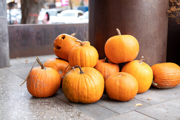 Orange halloween pumpkins on floor in sunny day. Rustic Fall Pumpkins. Autumn festival. Halloween decoration at home. Stylish fall decor of exterior building.	