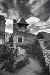 Naklejka premium Old ruins of Nevitsky castle medieval on Zakarpattia, Ukraine