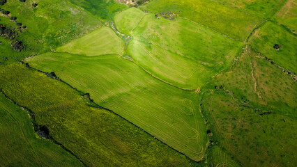 aerial views of cereals