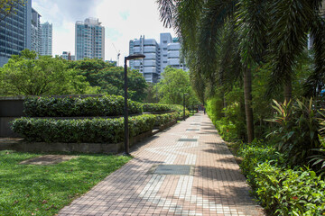 Vibrant green trees and vegetation in a city park during cloudy overcast day.