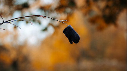 children's lost mitten on a tree branch, autumn blurred background