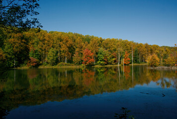 Autumn colors of the trees on Little Seneca Creek in Black Hill Regional Park