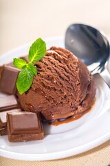 Chocolate Ice Cream Scoop on a white plate