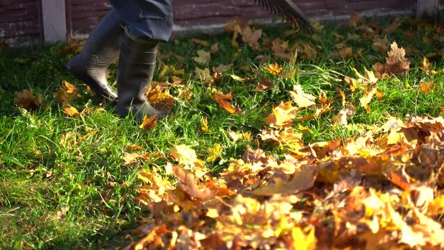 The janitor removes dry fallen autumn leaves from the ground. Close-up.