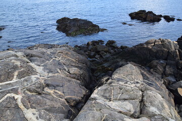Gray Smooth Rocks Near Bay with Dark Moss