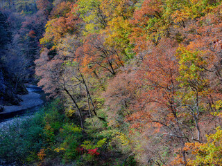 岩内仙峡の紅葉