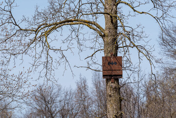 A Safe Bat House Fastened to A Tree