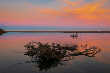 Driftwood in the estuary of the river in the beautiful reflection of the setting sun with an orange sky