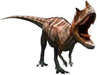 Fotobehang Dinosaurussen Ceratosaurus from the Jurassic era 3D illustration   © warpaintcobra