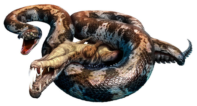 Titanoboa prehistoric snake 3D illustration	
