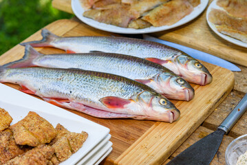 Fresh river fish prepared for grilling