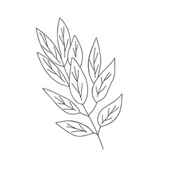 Outline plant decorative branch with leaves and berries for home decor, Christmas, New Year festive holiday arrangement, vector illustration for seasonal greeting card, invitation, banner