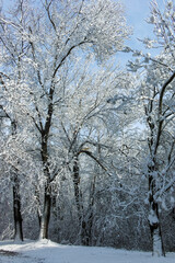 Winter view of South Park in city of Sofia, Bulgaria