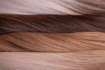 Texture or background of natural female hair of different colors. Hair extension. Donor hair.