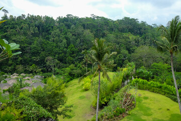 Fototapeta na wymiar Green juicy palm trees against a beautiful blue sky. Paradise Island Bali