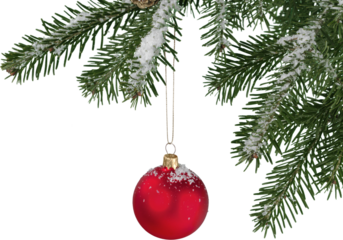 Red bauble on green christmas fir tree