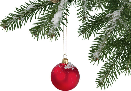 Red bauble on green christmas fir tree